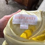 Birdy Grey  Light Yellow Gown Photo 3