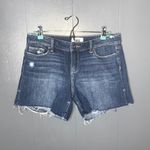 Paige Jimmy Jimmy jean shorts distressed Size 28 Photo 2