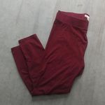 Cato  18-20W Maroon Stretch Pants Plus Photo 0