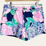 Lilly Pulitzer High Tide Shorts Size 4 Photo 0