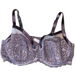 Lane Bryant Cacique Seriously Sexy Purple Lace Underwire Balconette Bra Size 42DDD Photo 0