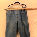 L.L.Bean Flannel Lined Jeans Blue 18 Photo 12