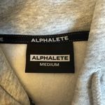 Alphalete Cropped Grey Hoodie Photo 5