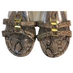 Chadwick's Womens  Brown Snake Print T Strap Wedge Low Heel Buckle Sandals Size 9M Photo 2