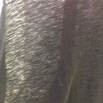 Reebok Workout Tank Photo 2