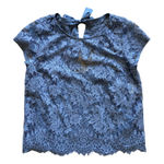 Abercrombie & Fitch  Gray Blue Lace Sheer Cutout Bow Back Blouse Shirt Medium NEW Photo 0
