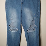 Eloquii  distressed jeans 18 Photo 0