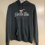 Hollister Gray Sweatshirt Photo 0