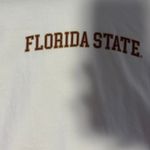 Hype & Vice  Fsu Baby Tee Photo 1