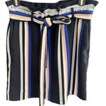 EXPRESS Paperbag Waist Striped Mini Skirt Photo 0
