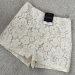Topshop Nwt  Lace Shorts Photo 3