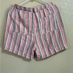 Briggs New York  Multicolor Striped Women's Shorts Photo 1