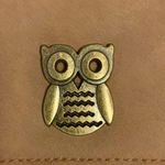 TAN LEATHER (VEGAN) CROSSBODY WITH BRASS OWL ADORNMENT Photo 1