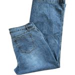 Flamingals Wide Leg Flare Bell Bottom Stretch Jean Sz 4X 18/20 Pockets Distress Blue Photo 3