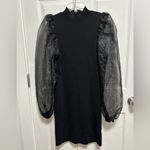 Lea & Viola  Black Dress with Sheer Sleeves Photo 2