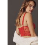 Anthropologie NWT  Lace Velvet Corset Top Photo 1
