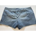 Torrid  Medium Wash 6‎ Inch Vintage Stretch High-Rise Denim Shorts Size 30 Photo 6
