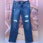 Hollister  Low Rise 90s Vintage Straight Blue Jeans Photo 1