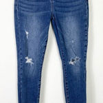 Pistola  Lanissa Distressed Denim Raw Scissored Hem Skinny Jeans Size 28 Photo 0