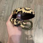 American Eagle Outfitters Belt Photo 0