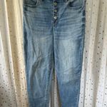 American Eagle Next Level Stretch Exposed Button Up Curvy High Rise Jegging 10 L Photo 1