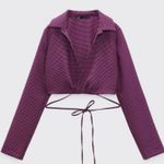 ZARA  Purple Houndstooth Cropped Collared Top Size XS NWT! Photo 0