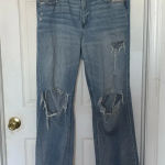 American Eagle Low Rise Baggy Jean Photo 0