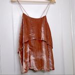 Alice + Olivia  by Stacey Bendet Rose Tan Velvet Blouse Ruffle Tank Top Size S Photo 3