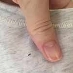 Lululemon  Spincity Tee White & Gray Raglan Sleeve Photo 6