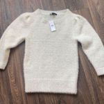 Ann Taylor  Fuzzy Sweater Photo 0