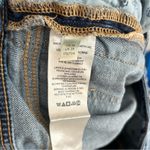 Pilcro  Anthro Slim Boyfriend Jeans Animal Print Side Stripe Distressed Size 28 Photo 6