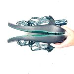 Chacos Chaco ZX2 Green & Black Classic Adjustable Walking Sandals Women’s Size 11 Photo 4