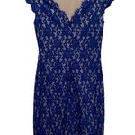 Eliza J Women’s Sz 0 Sleeveless Lace Blue Mini Fitted Sexy Dress Photo 12