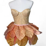Victoria's Secret Fairy Costume Photo 0