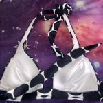 Victoria's Secret Victoria Secret 2 piece Bikini Black and White Size Small Photo 3