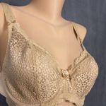 New Goddess Size US 38C Michelle Padded Banded UW Bra GD5000 Sand Photo 1