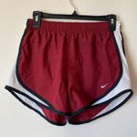 Nike Maroon Dri-Fit Shorts Photo 0
