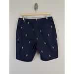 Charter Club  Pant Shop Embroidered Pineapples Navy Shorts Women’s Sz 10‎ Preppy Photo 2