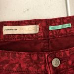 Anthropologie  Pilcro High Rise Denim Legging Skinny Jeans Burnout Floral Red 22W Photo 2