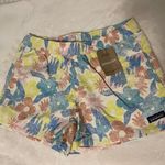 Patagonia Barely Baggies Shorts 2 1/2 Inch Photo 0