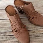 Heeled Mules, Size 8 Brown Photo 1