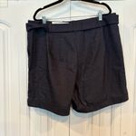 Cato Black/Gray Belted Stretch Dress Shorts Size 16W Photo 1