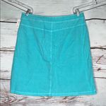 Fresh Produce  NWT Size XL Neptune Blue 100% Cotton Broadcloth Skirt Photo 1