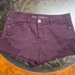 Vanilla Star Mid Rise Shortie Photo 0