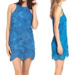 Lovers + Friends  Capsian Lace Halter Shift Mini Dress: Blue Cobalt Photo 3