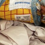 Vans x Disney Toy Story Woody Authentic Sneakers Limited Edition RARE 10.5 Photo 9