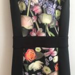 Ted Baker Akva Kensington Floral Bodycon Dress XXS Photo 6