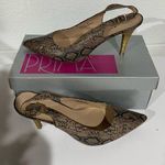 Fashion Bug Heels 9  Photo 0