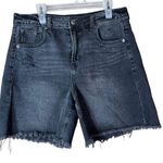 American Eagle  A line High Rise Shorts Size 4 Photo 0