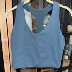 Spanx  long line sports bra core dusty blue racerback seamless Photo 0